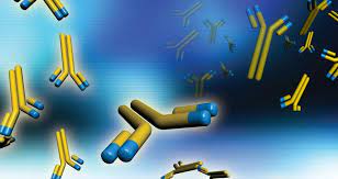 Μονοκλωνικα αντισωματα